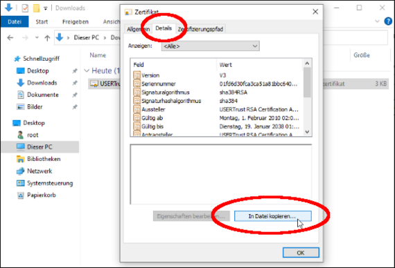 Wählen Sie den Tab "Details" aus und dann auf "In Datei kopieren".